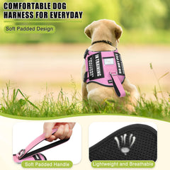 MOOGROU patches display set with clear SERVICE DOG and IN TRAINING labels
