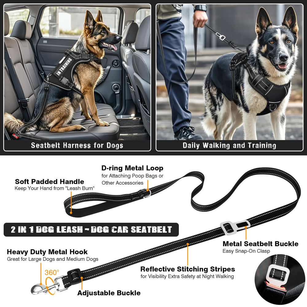 MOOGROU patches display on vest like BEST FRIEND and IN TRAINING for mood signaling.