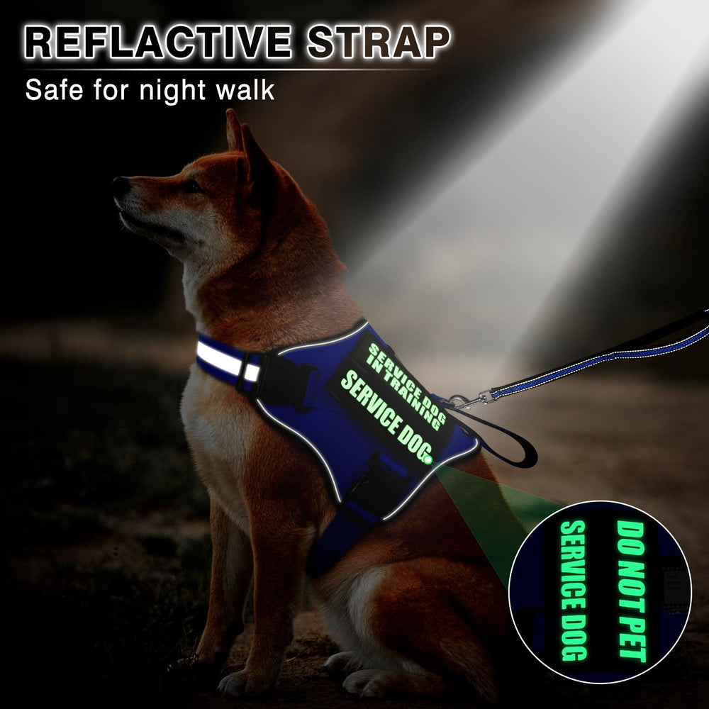MOOGROU velcro patches glow-in-dark display training and status