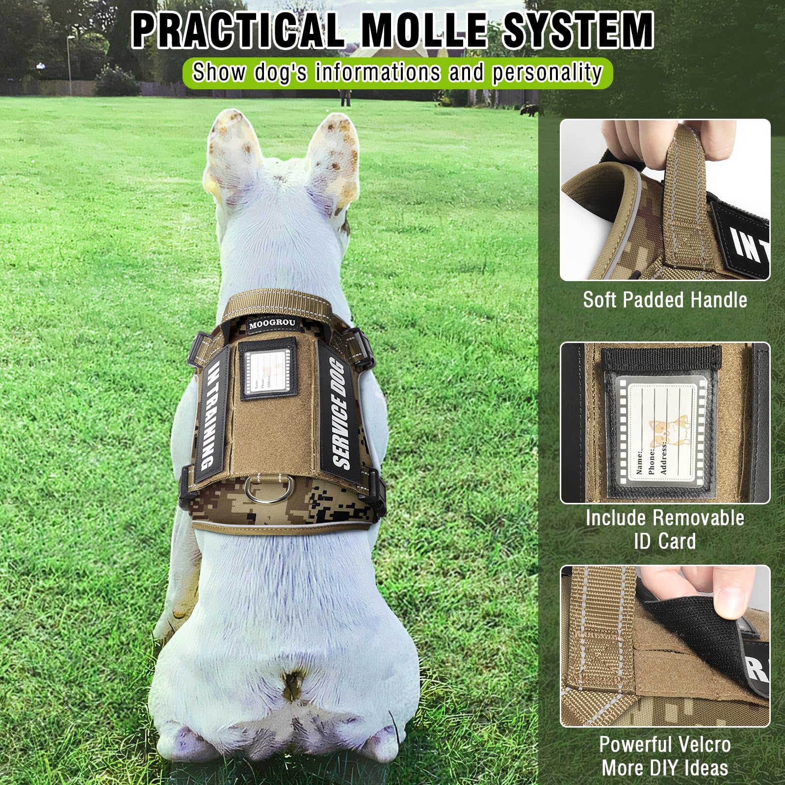 MOOGROU reflective safety strips boost visibility on night walks.