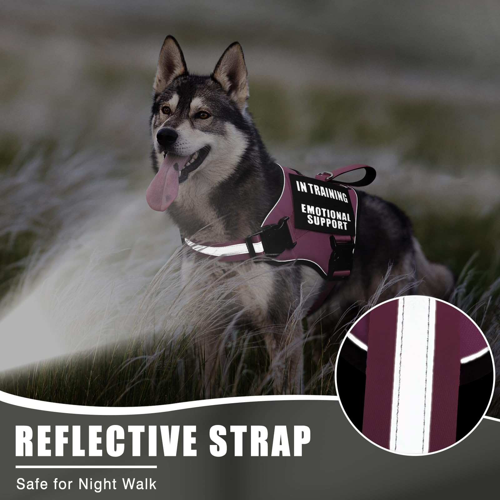 MOOGROU padded handle for gentle control without hand strain.