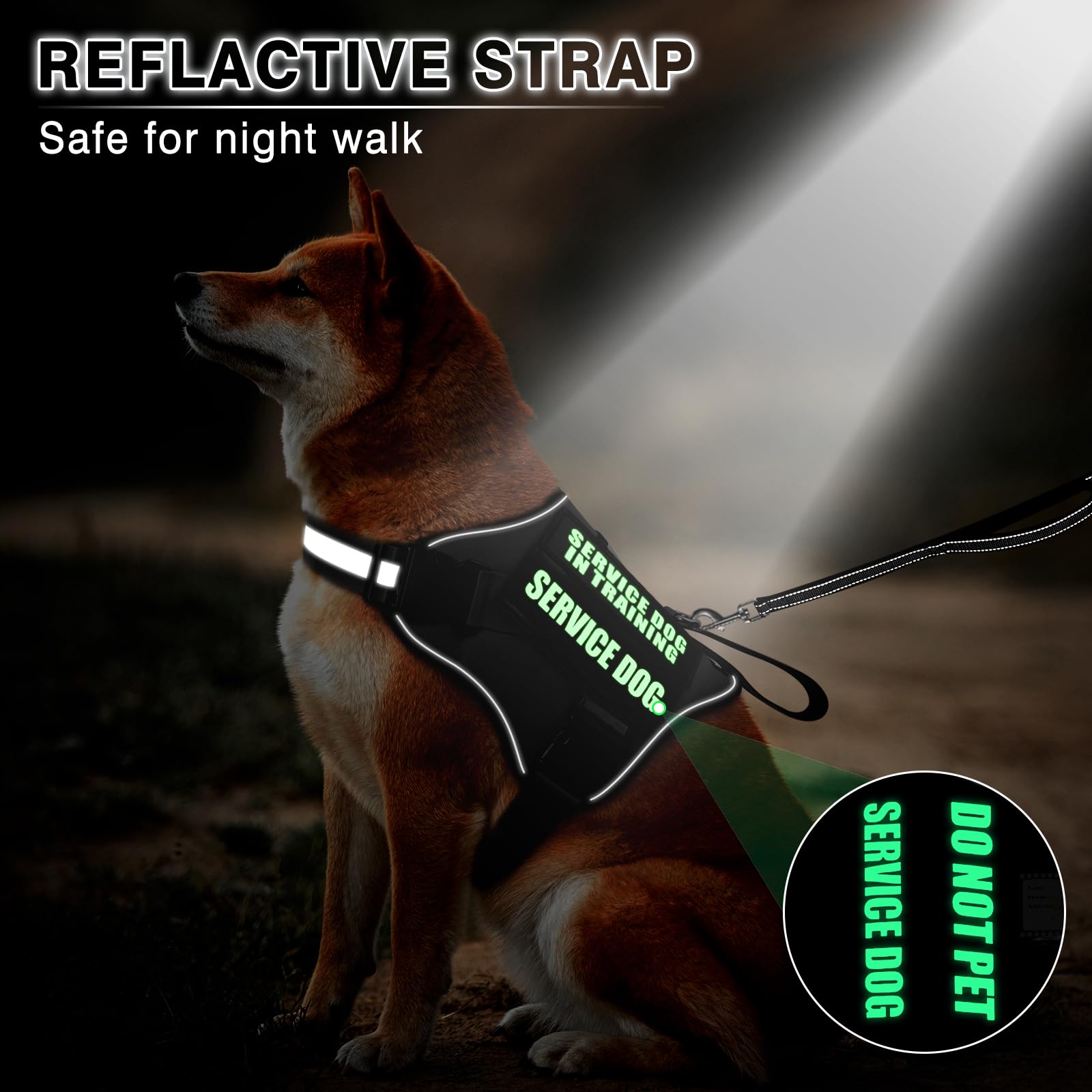 MOOGROU harness with reflective straps improves night visibility