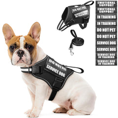 MOOGROU service dog harness set front view for easy control during training