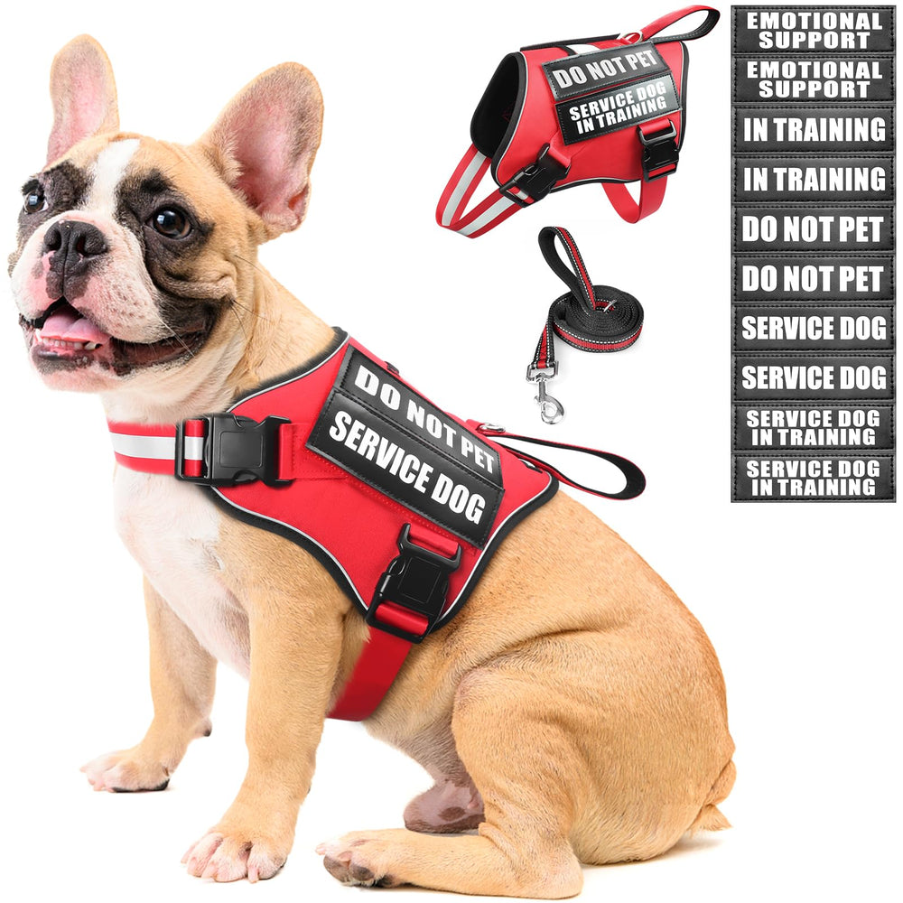 MOOGROU service dog harness set with reflective straps for safer night walks.