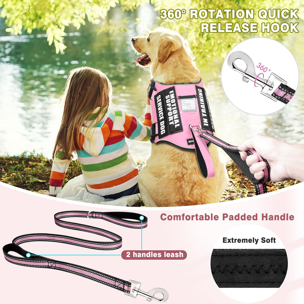 MOOGROU 5ft leash with dual padded handles for comfortable daily walks.