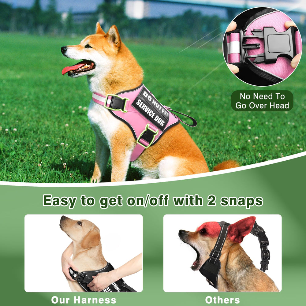 MOOGROU leash with soft padded handle for comfortable control