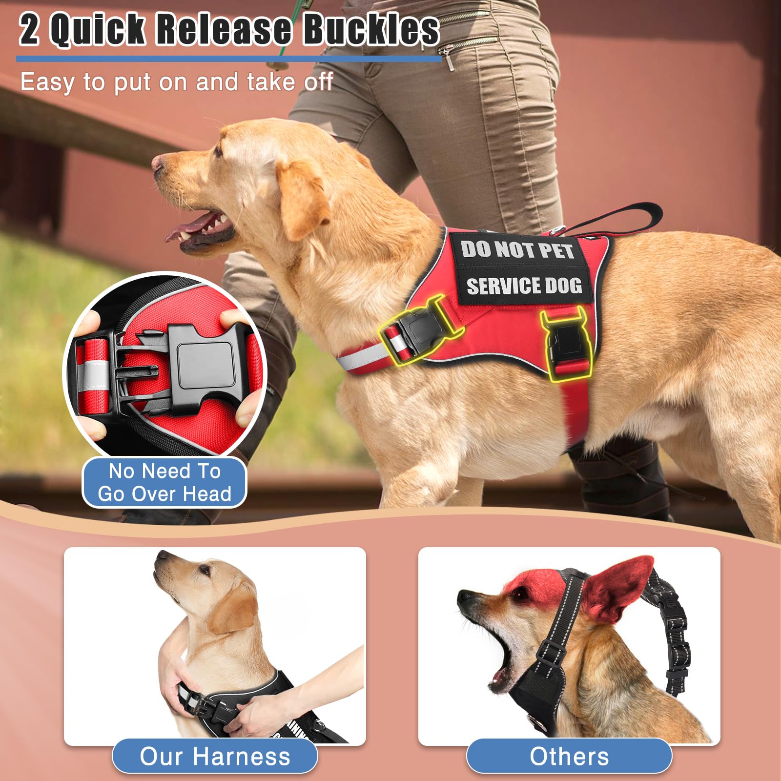 MOOGROU patches on display demonstrate clear status signals like SERVICE DOG