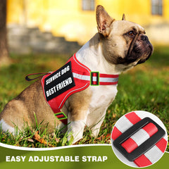 MOOGROU patches included highlight clear lettering for easy recognition during walkthroughs and public spaces.