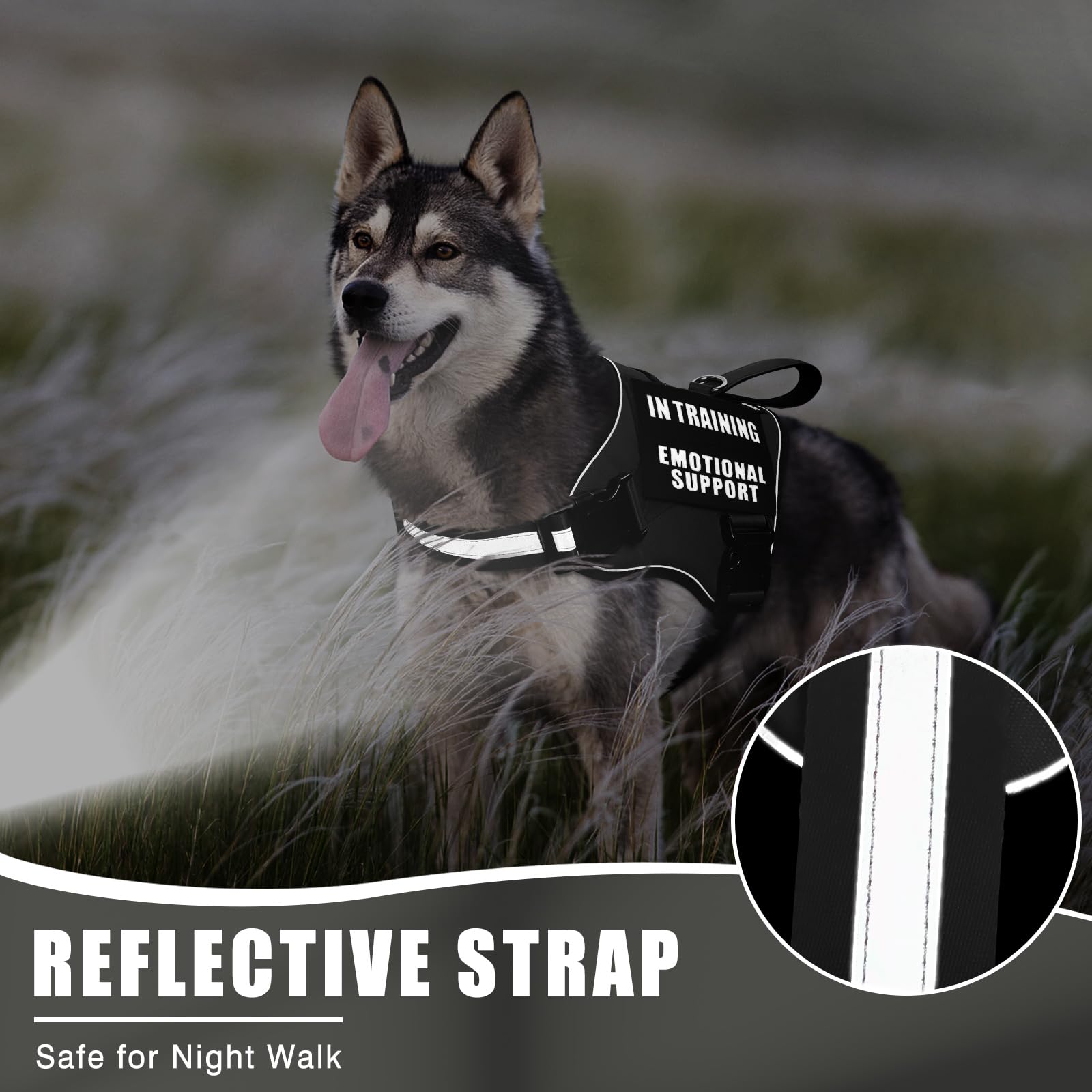 MOOGROU quick-release buckles simplify on/off for frequent use.