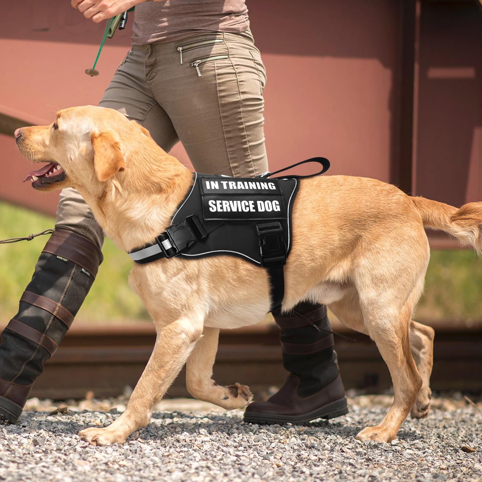 MOOGROU size measurement guide helps pick the right harness fit.