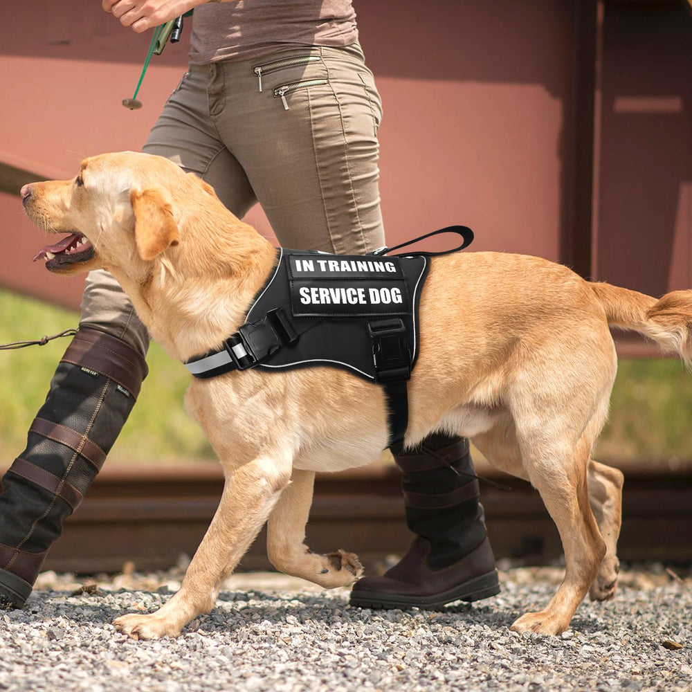MOOGROU size measurement guide helps pick the right harness fit.