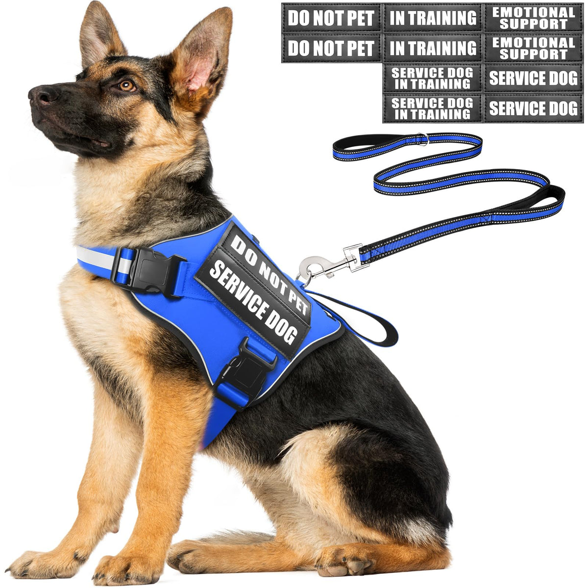 MOOGROU service dog vest harness blue XL worn during training for comfort.