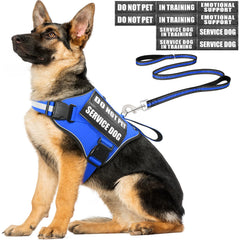 MOOGROU service dog vest harness blue XL worn during training for comfort.