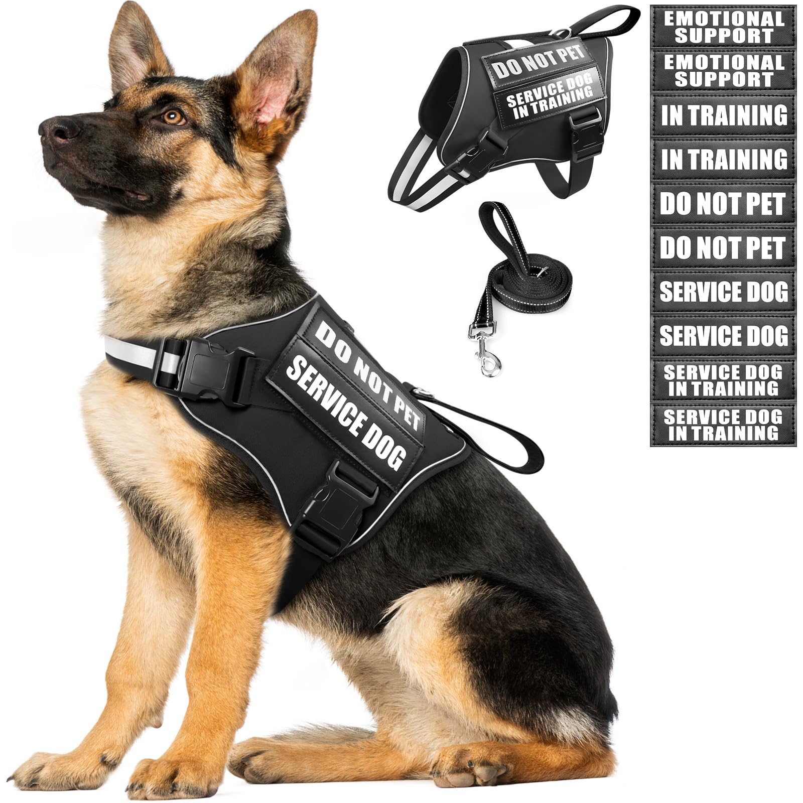 MOOGROU service dog vest and leash set with reflective straps for safe night walks.