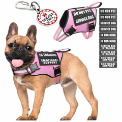 MOOGROU service dog vest pink displaying secure fit for everyday outings.