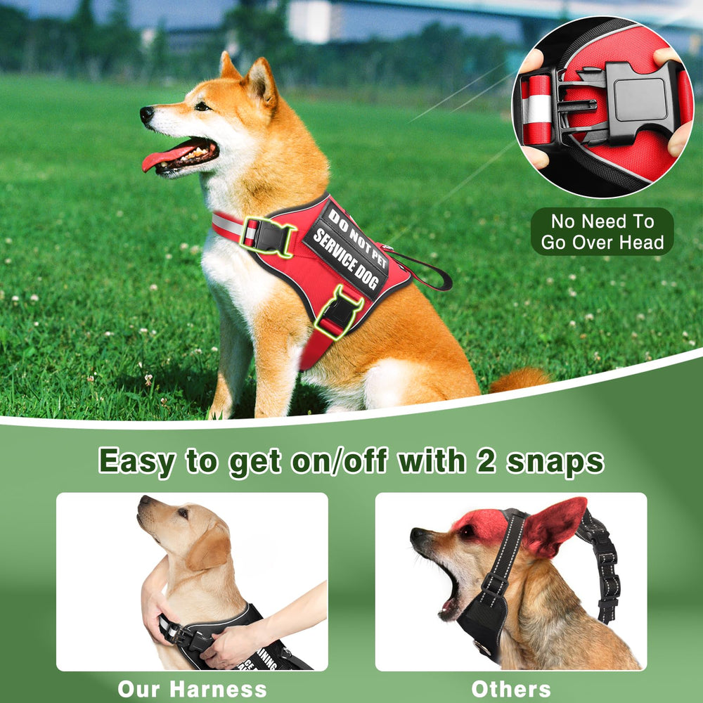 MOOGROU reflective vest straps demonstrating night visibility during street crossings