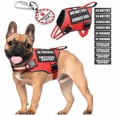 MOOGROU service dog vest shows a durable vest for training and daily walks