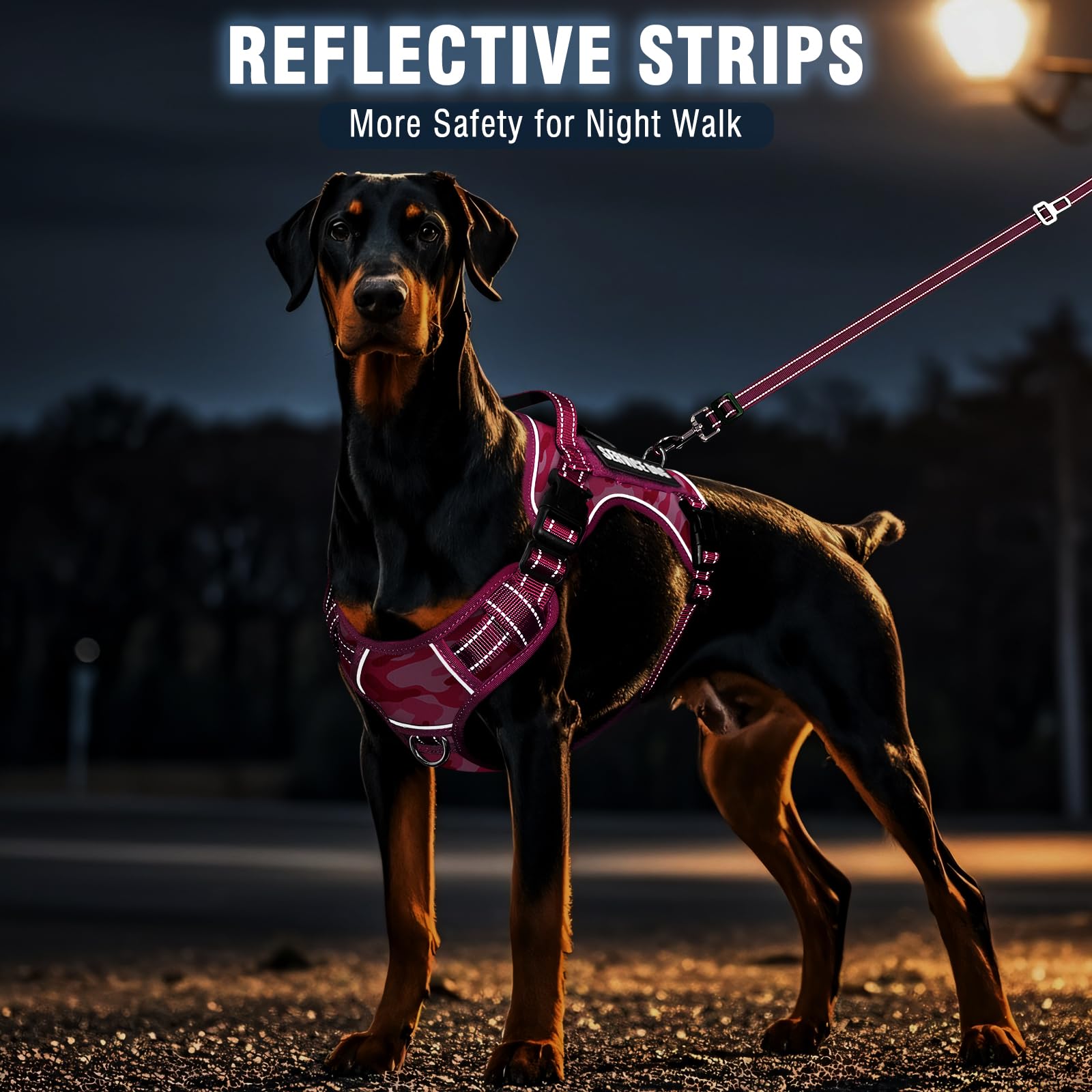 MOOGROU Size options S-XL ensure proper fit for many large breeds.