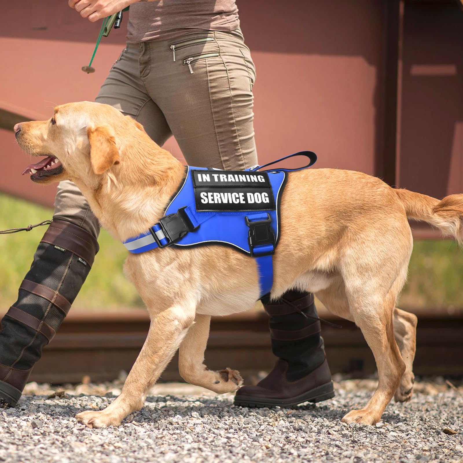 MOOGROU size guide helps pick the right harness for fit.