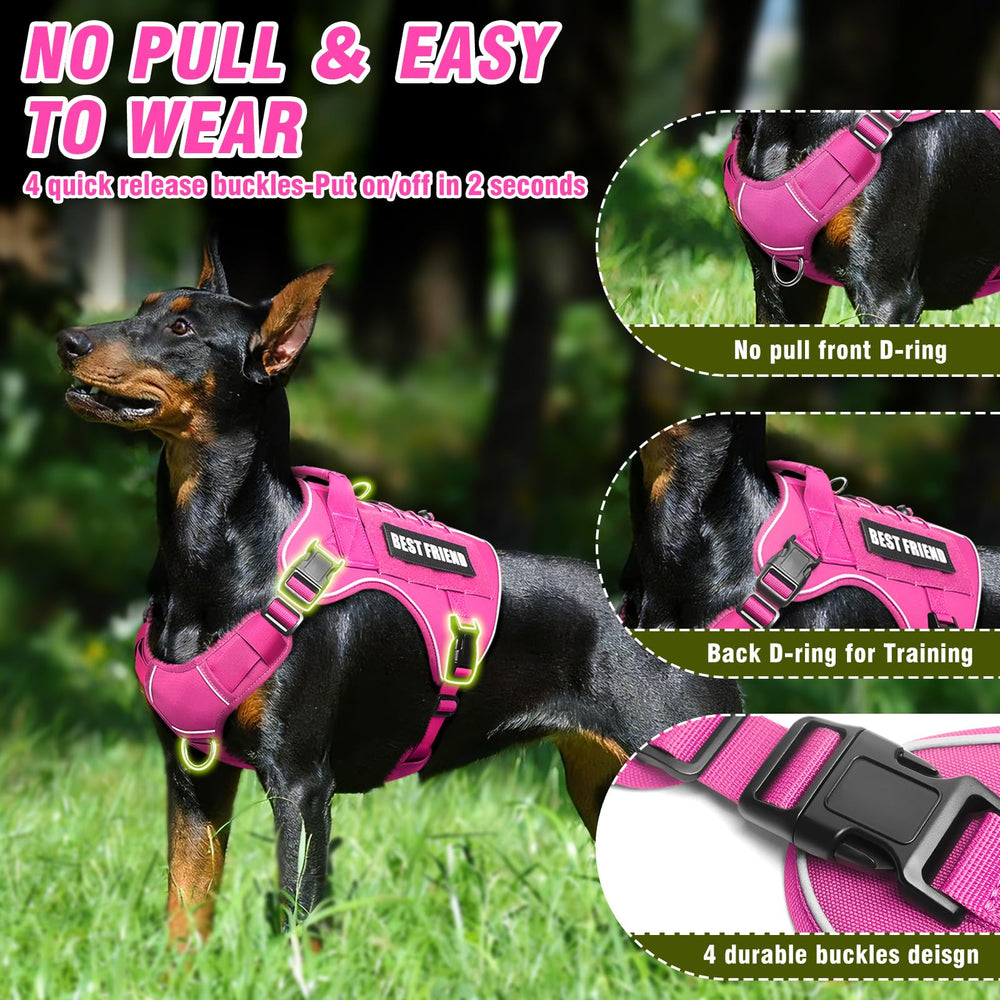 MOOGROU Tactical harness back D-ring and dual-leash setup example.