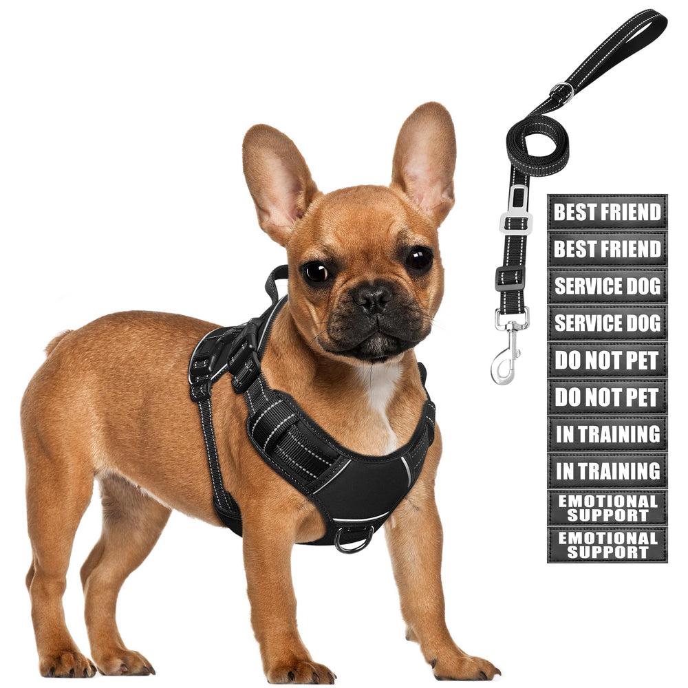 MOOGROU tactical dog harness back view shows durable construction for training and control