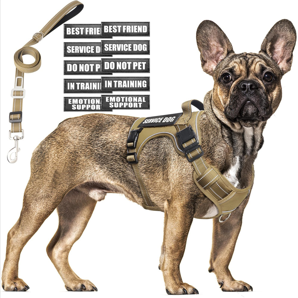 MOOGROU tactical dog harness back view shows sturdy vest for training and control.