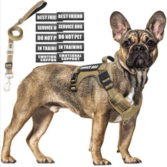 MOOGROU tactical dog harness back view shows sturdy vest for training and control.
