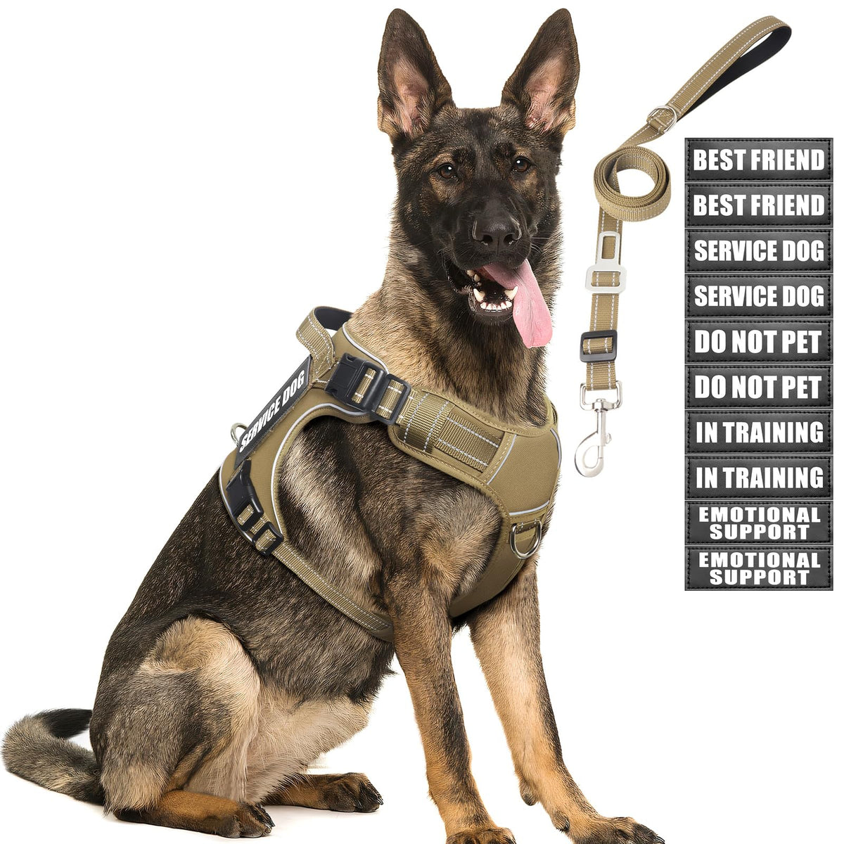 MOOGROU tactical dog harness front view shows secure fit for training and hiking.