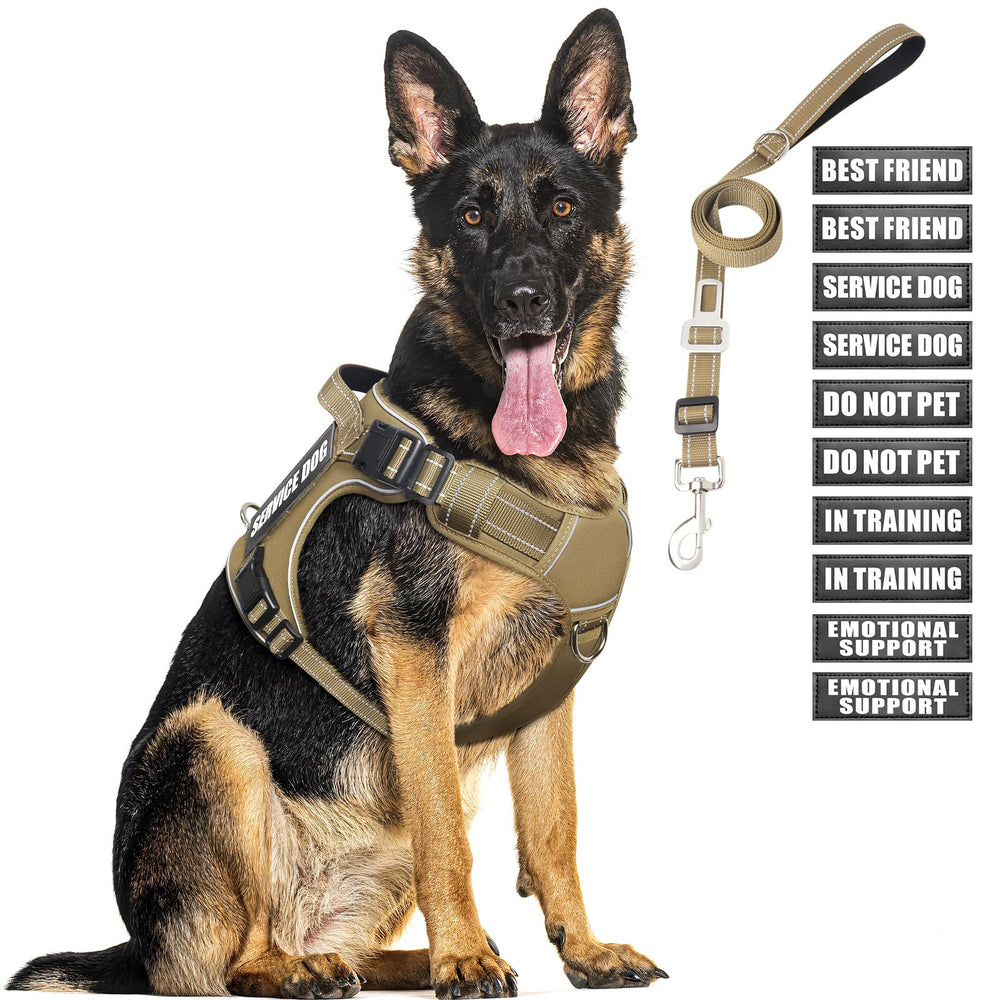 MOOGROU tactical-harness front-view for large dogs with training-ready rugged design