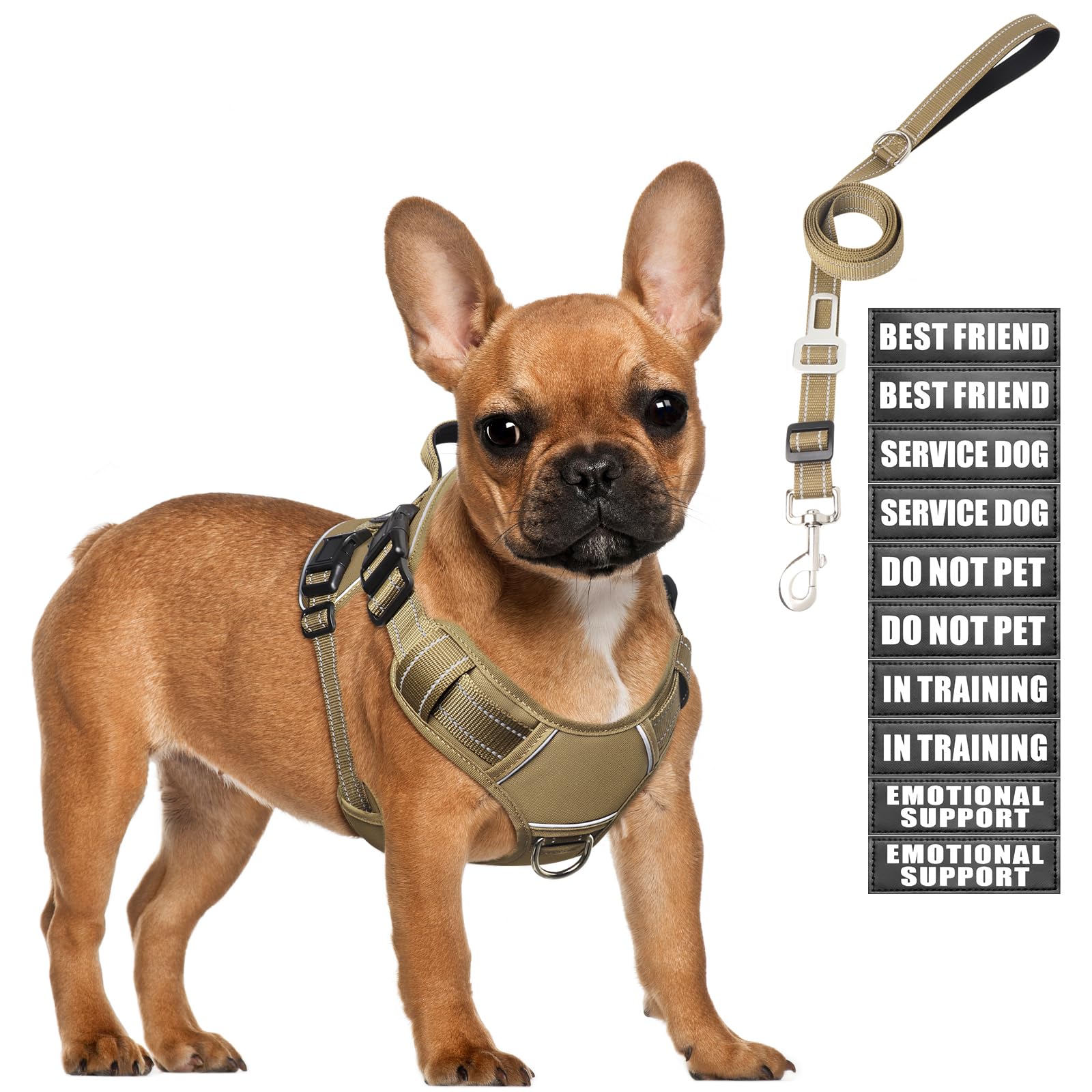 MOOGROU tactical dog harness front view showing secure chest fit for daily training.