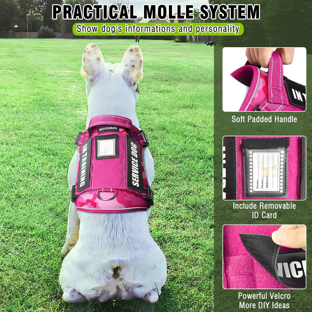 MOOGROU 2-in-1 leash with car seat belt buckle for safe car trips