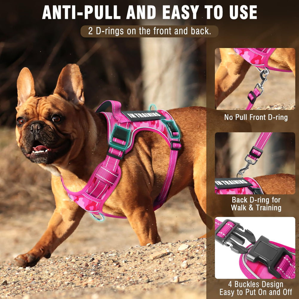 MOOGROU patches set showcases motivational labels for training and park etiquette