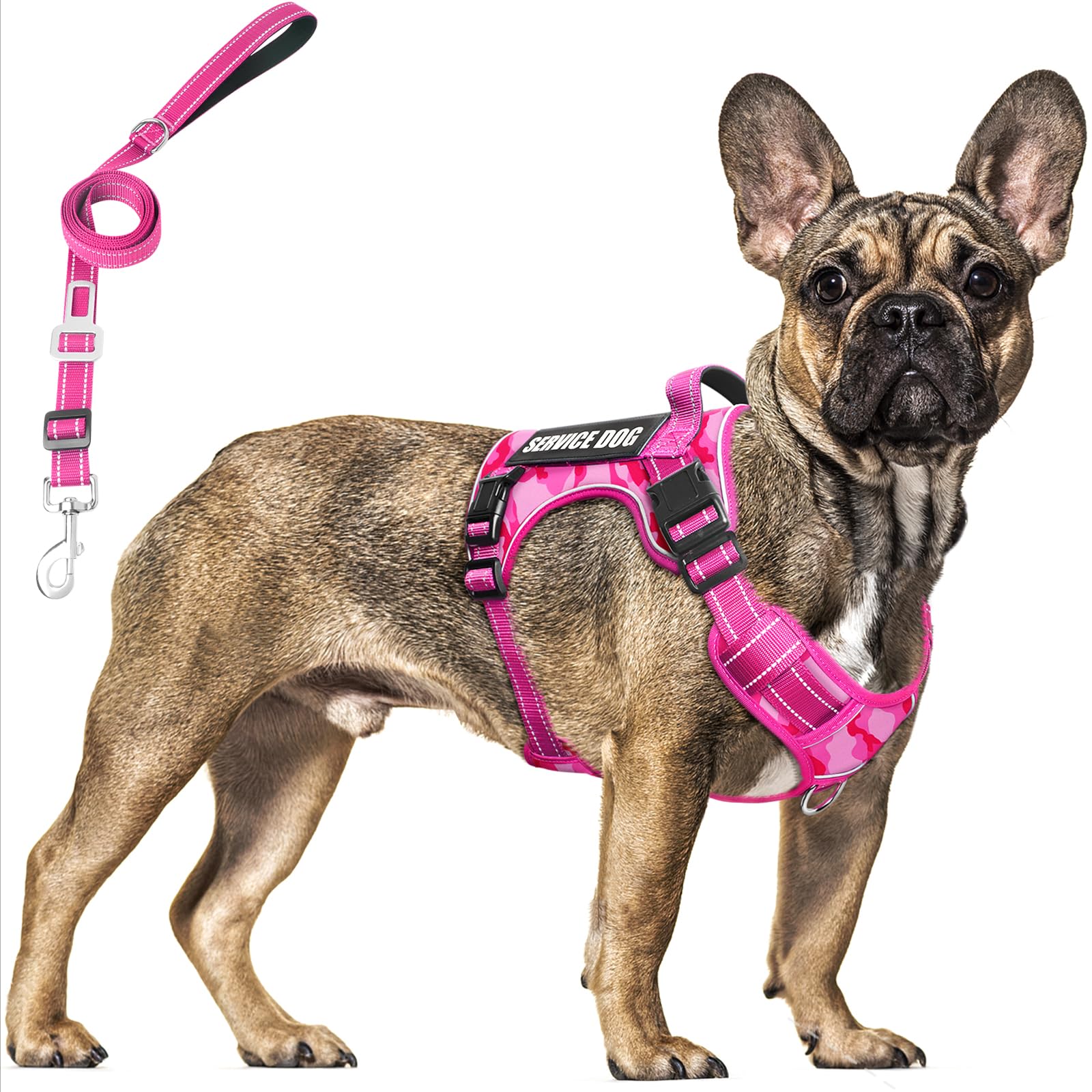 MOOGROU Tactical Service Dog Vest patch window shows mood patches for training cues.
