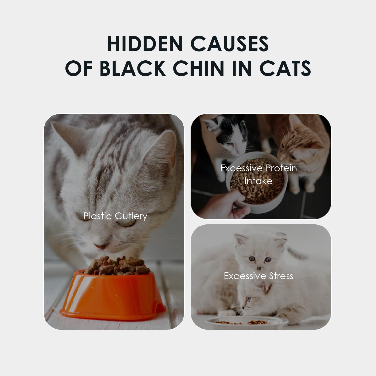 Mooncat oil absorption close-up reveals non-greasy, quick-drying texture