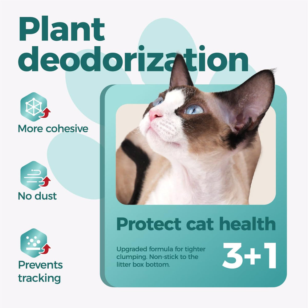 MOONFOREST Tapioca Cat Litter fast-clumping texture demonstrates easy scooping.