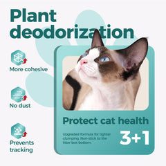 MOONFOREST Tapioca Cat Litter fast-clumping texture demonstrates easy scooping.
