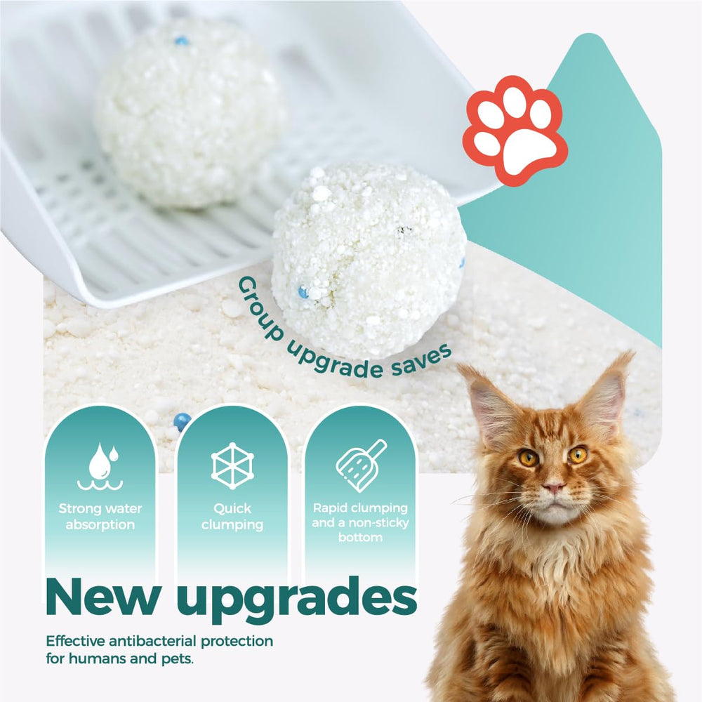 MOONFOREST Tapioca Cat Litter ultra-low dust formula reduces mess.