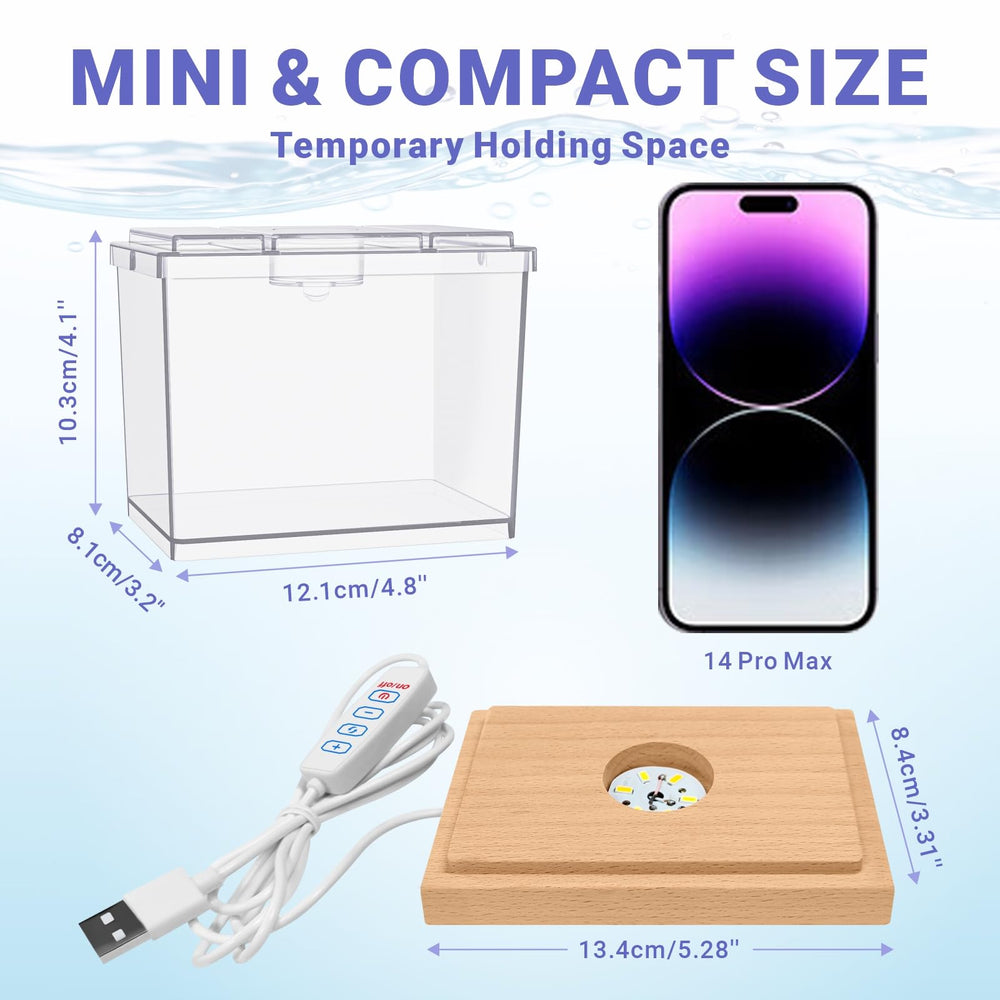 MoonOrange LED light base with night colors enhances display at night.