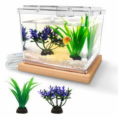 MoonOrange mini betta tank 360° view enables easy observation.