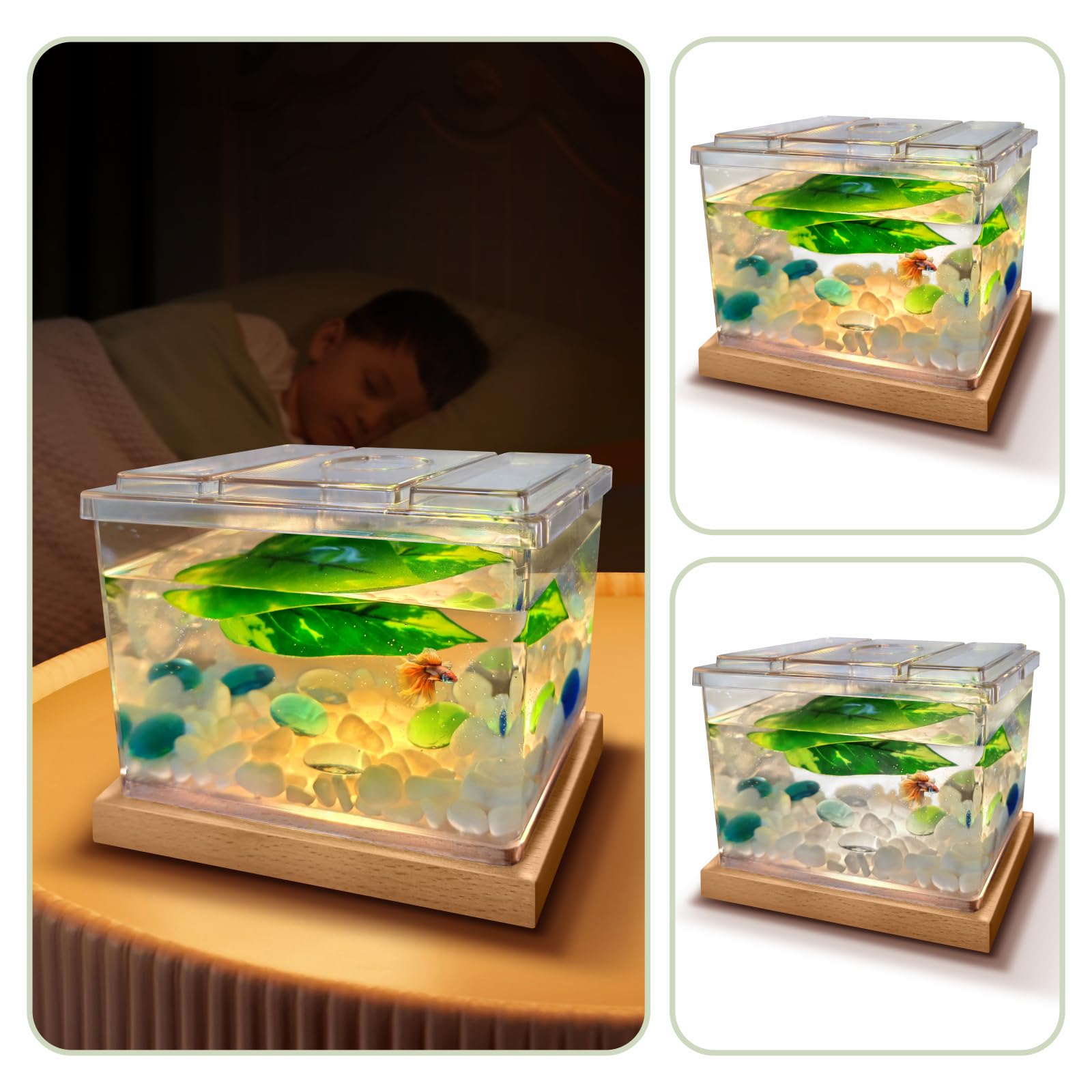 MoonOrange Betta Tank feeding hole enables easy, precise feeding.