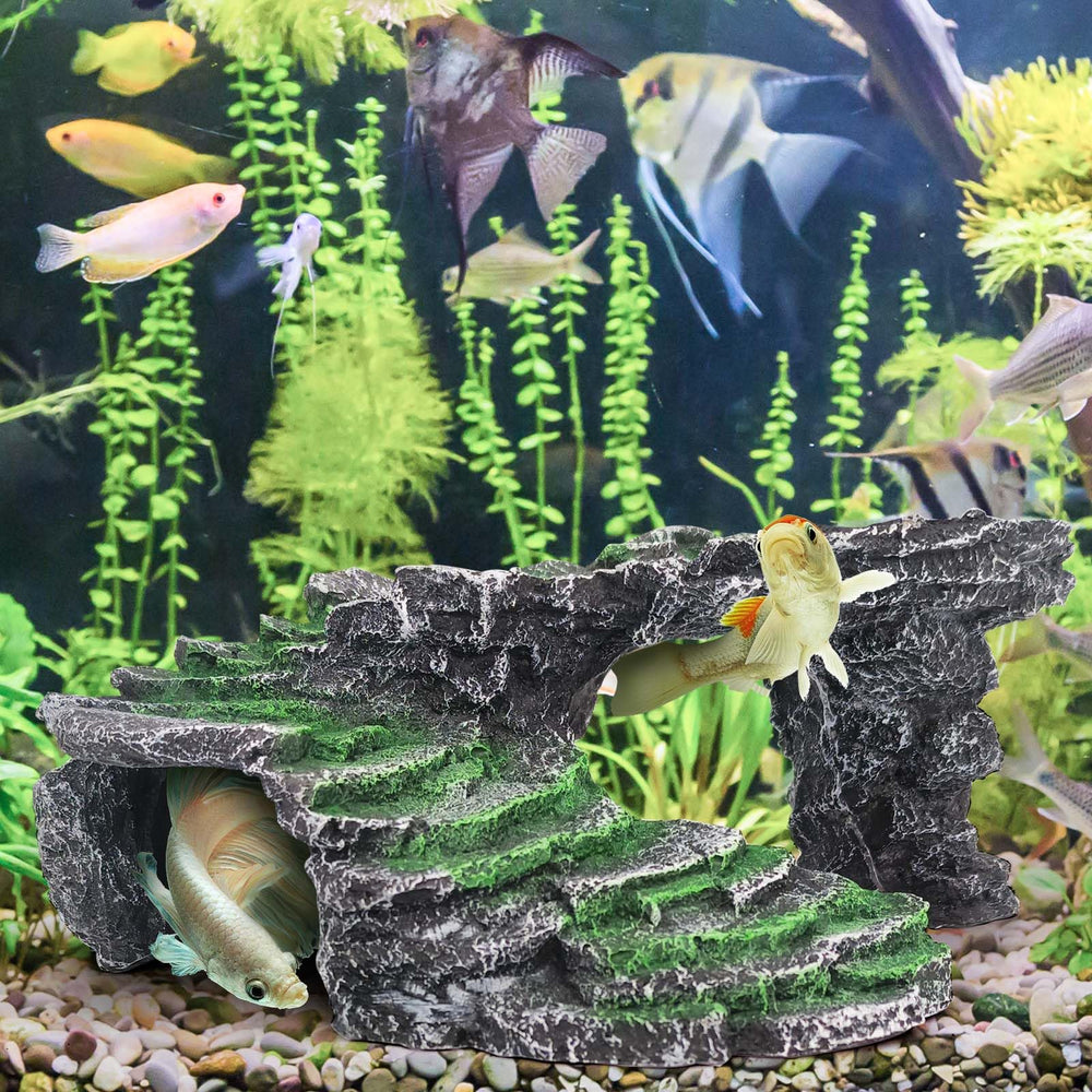 MoonOrange Turtle Habitat Setup illustrates versatile use for turtles and bearded dragons.