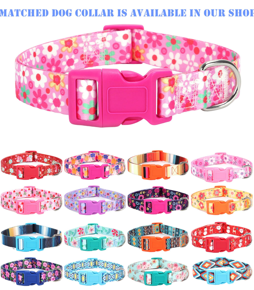Moonpet Step-In Harness close-up shows buckles and double D-rings for secure control.