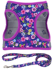 Moonpet Step-In Harness dark flower front view supports easy, secure all-weather walks.
