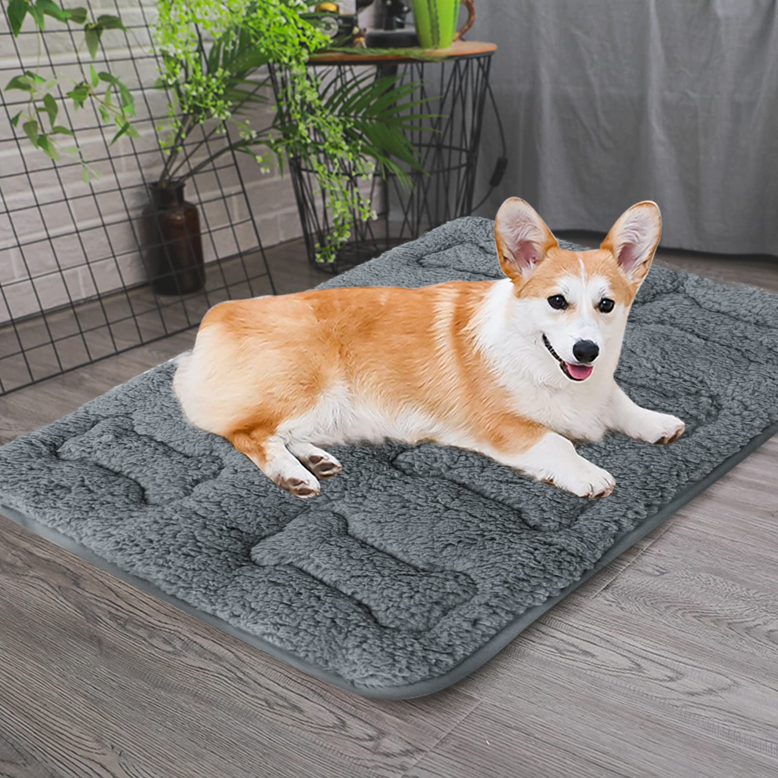Moonsea dog bed crate mat vacuum-pack packaging expands to fluffy bed