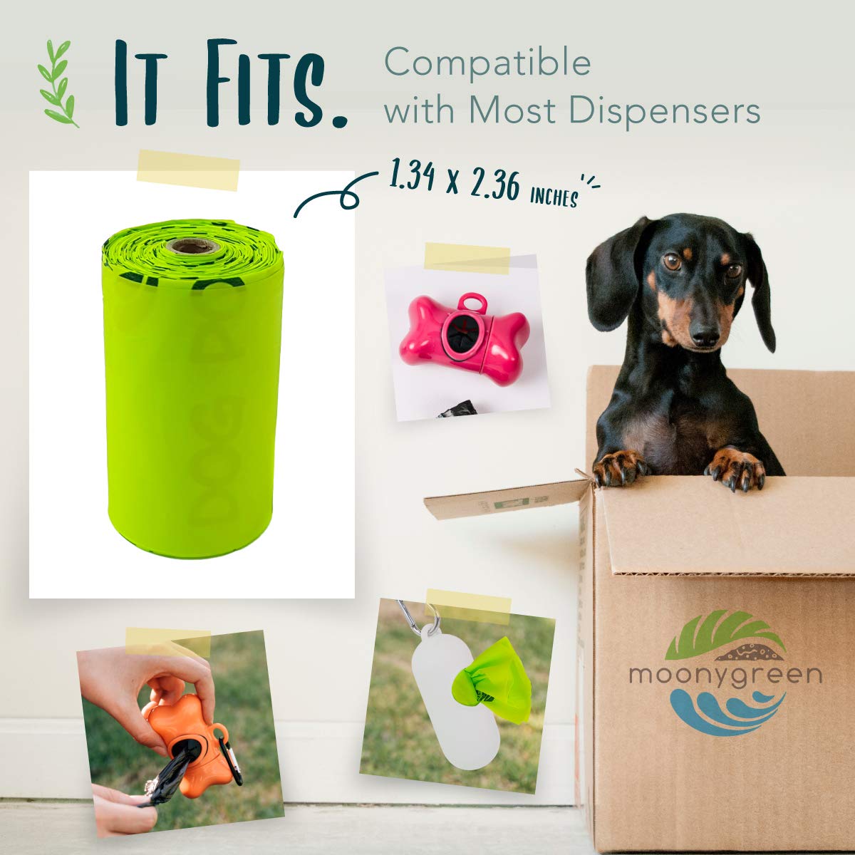 Moonygreen compostable dog bags measure 9x13 inches for larger dogs and dispensers.