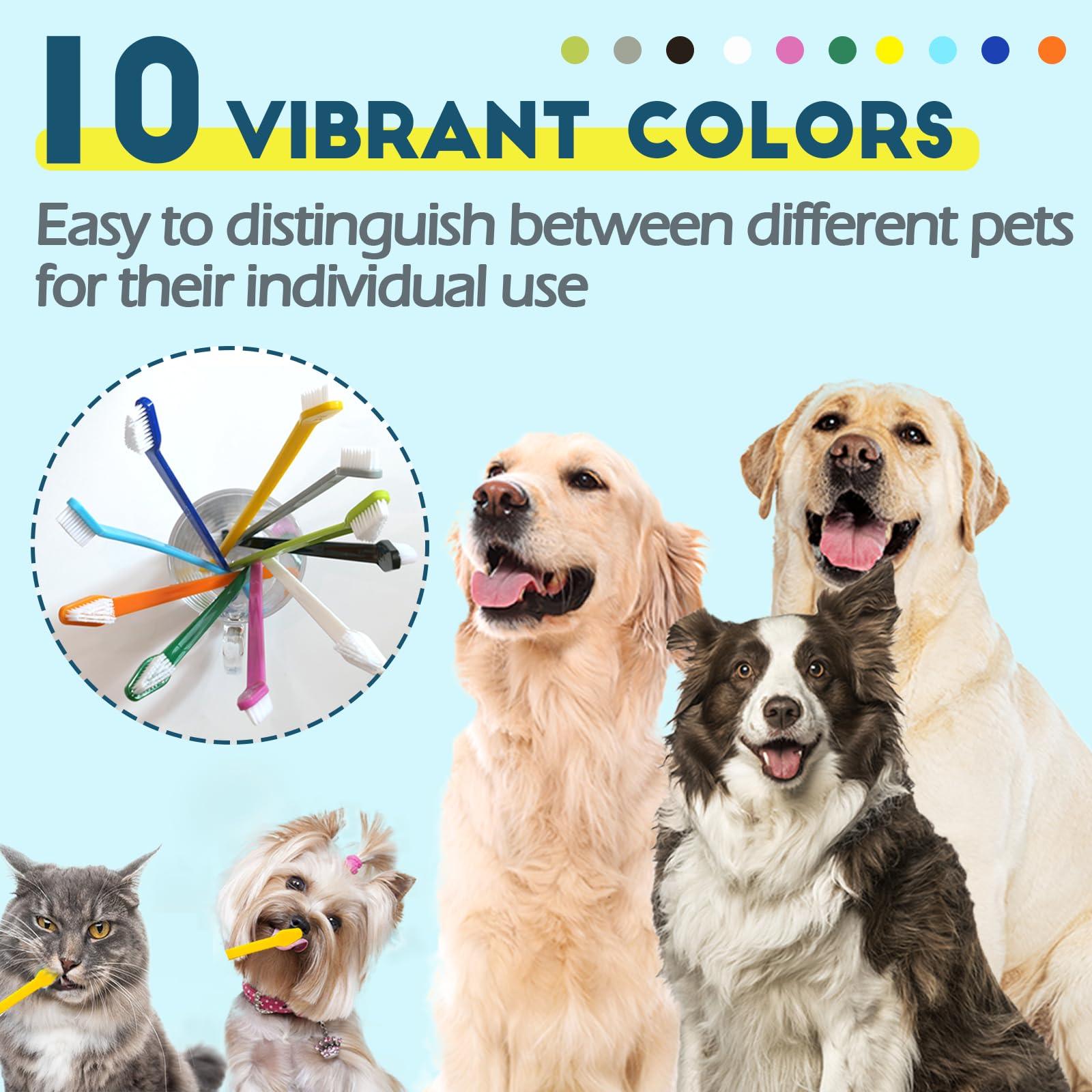 MoonyMars long-handle brush helps reach back teeth during brushing sessions.