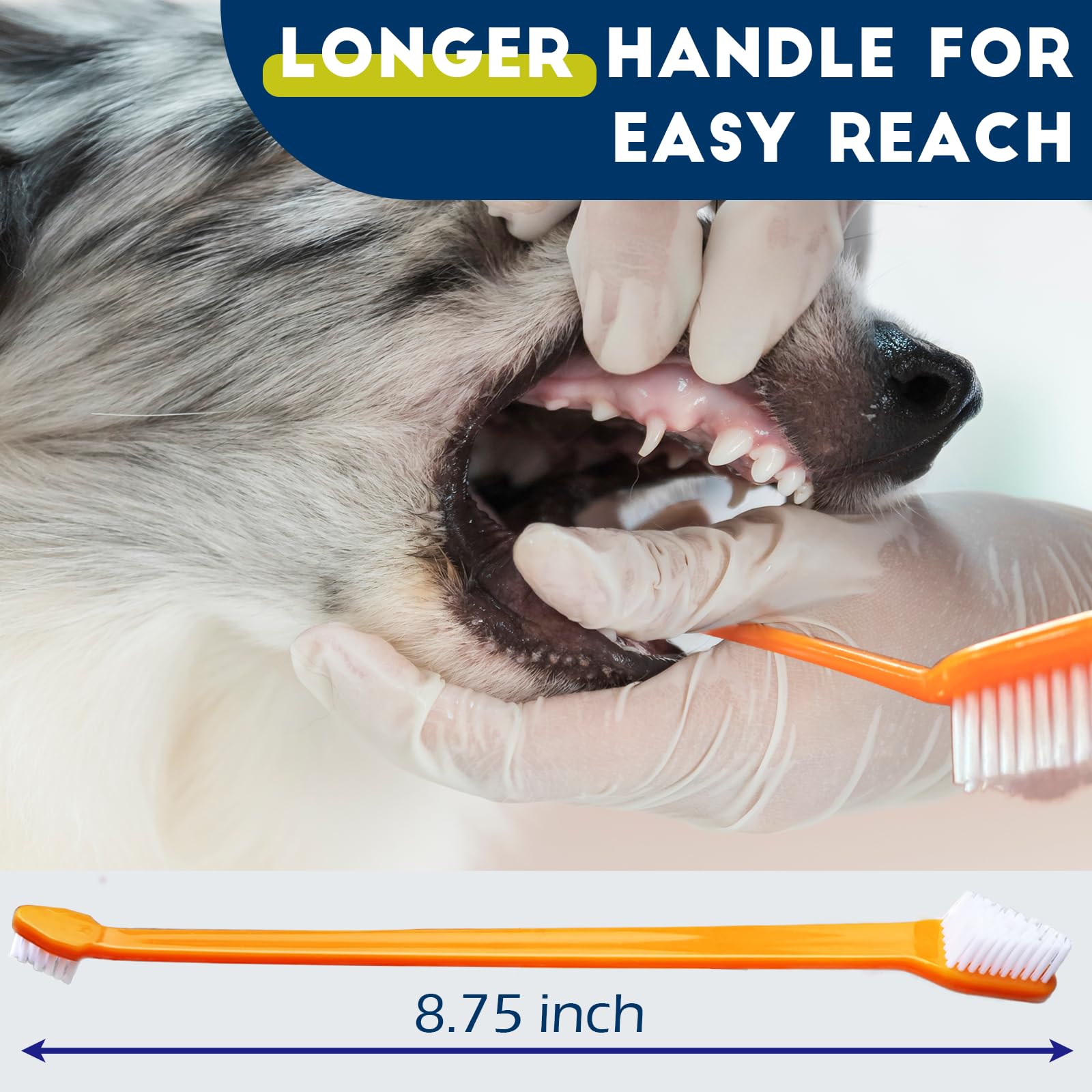 MoonyMars soft bristles provide gentle cleaning without scratching gums.
