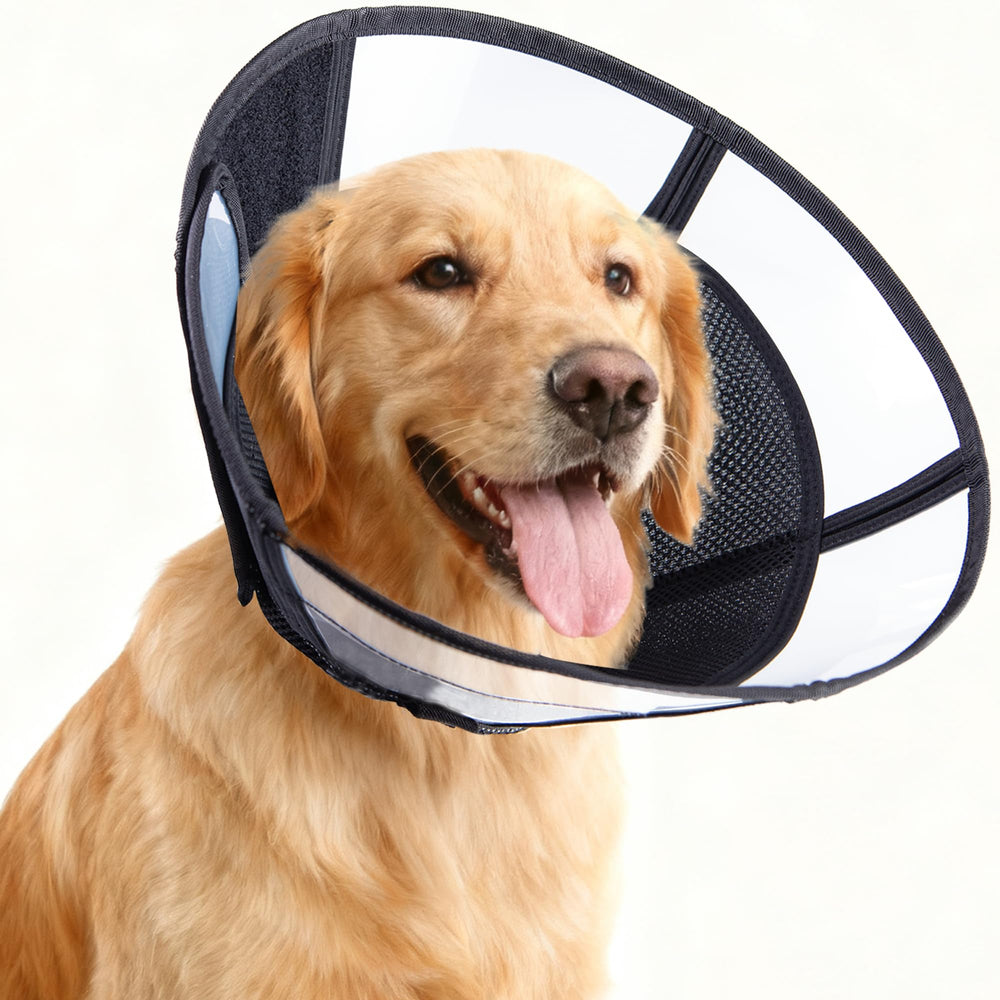 MoonyMars soft dog cone LL black collapsible storage for convenience