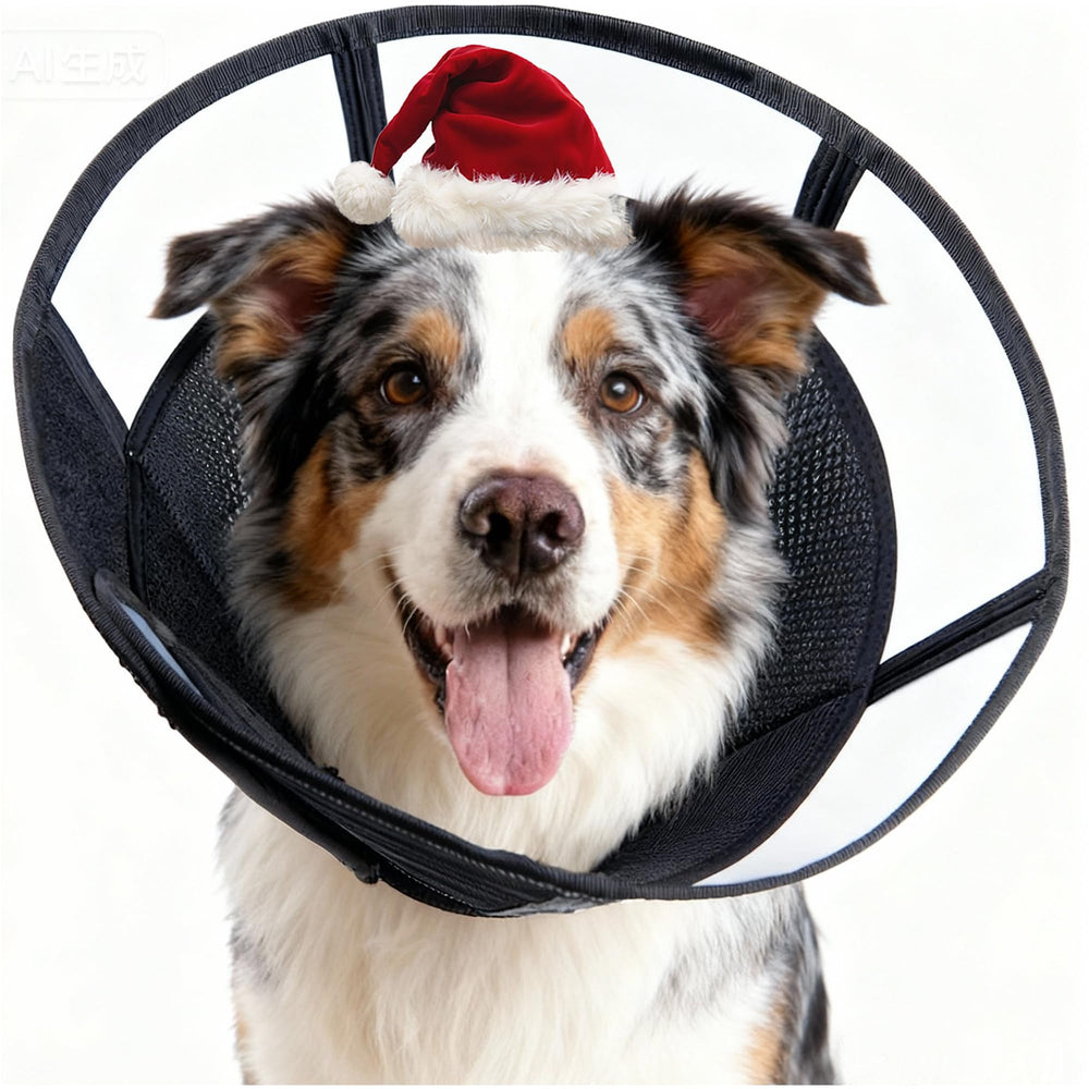MoonyMars soft dog cone LL black front view shows comfortable fit