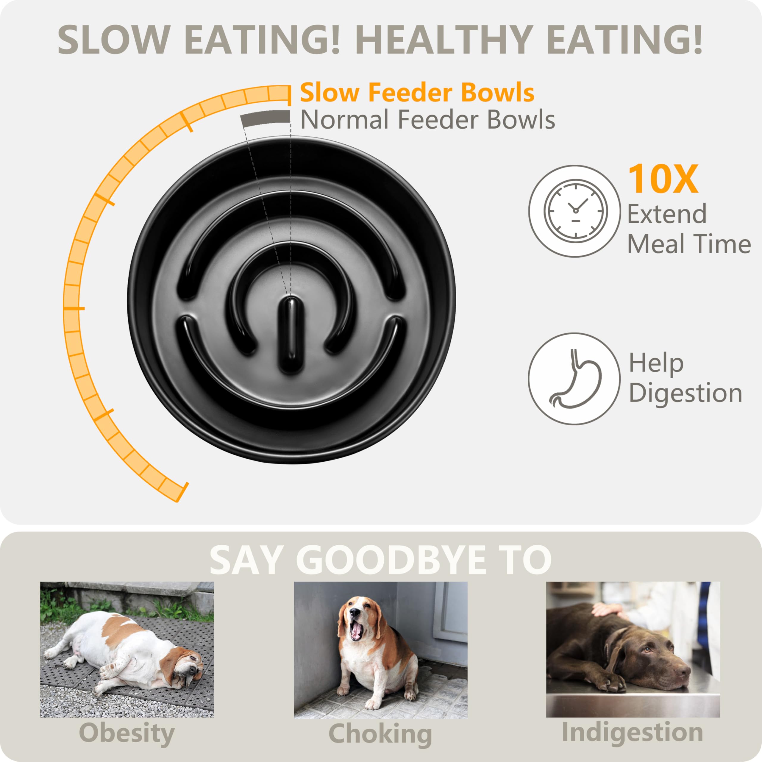 MOPANG 70oz water bowl keeps dog hydrated reliably